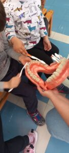 IMG d5ee82119c75fee1eefcf1be90d9090b V