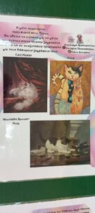 IMG d7c7fe24d59d1a5bb746fa029f68350a V 1