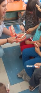 IMG e0042c7200f8433a59b8fa382214b3e8 V