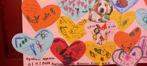 IMG f930f59e0cc3783b23f1519f5ed63908 V 1