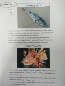12.ΞΕΝΙΚΑ ΕΙΔΗ
