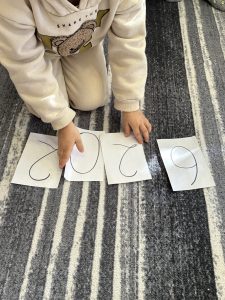 IMG 7376