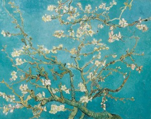 almond tree blossom