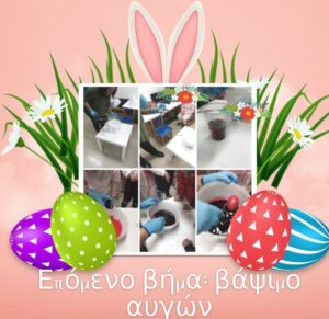 BACIMO 2