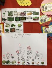 Τρώμε υγιεινά- τρώμε λαχανικά!