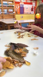 6D410BB4 3F8B 4EA3 9205 F75F06DD45CB