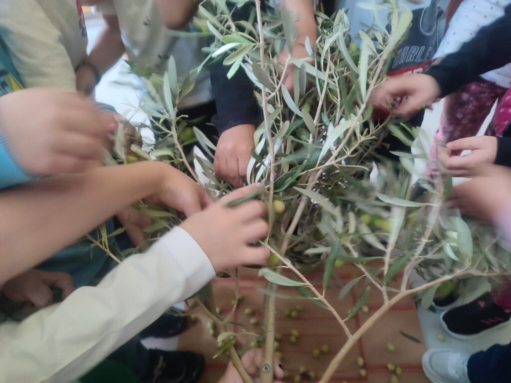 IMG 8de2efbd683d2f7fe29e68ed6fd6c02d V