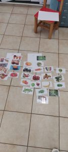 IMG 12eaa03260ff72f9632e8f6339c7fc45 V