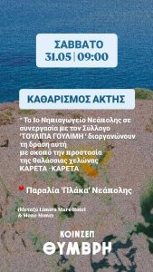 PERIBALLONTIKH DRASH