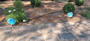 Messenger creation 711562118037938