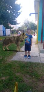 IMG 71bbfabf160959e28de7b7ba8cb69203 V