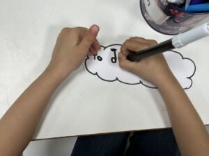 IMG 9713