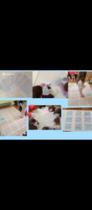 Messenger creation E21F5CA1 F1A9 445E ACE8 165EBCA4CDC7