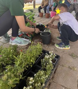 255caa9f 74c8 4b9f b08e 08618f4d6cda