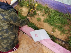 IMG f2899a733e5c9b27e078fe6e0019a55d V