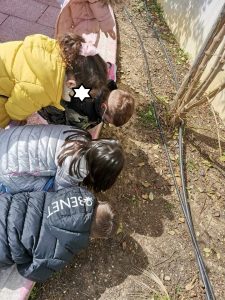 received 1157117358449550