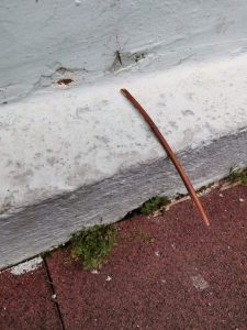 received 794386344854436