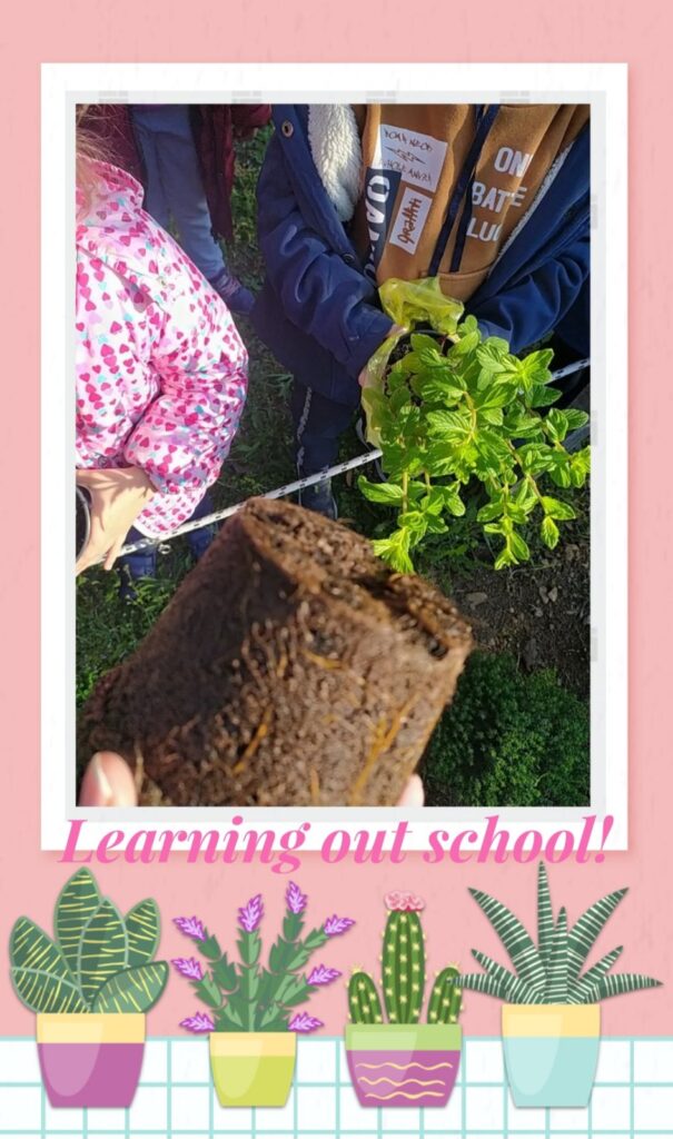 VRONDOU LEARNING OUTSIDE SCHOOL 6