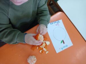 IMG 20250117 122523