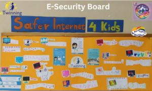 E Security Boardd 2