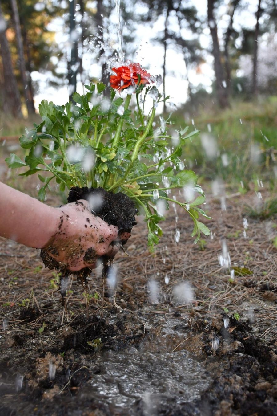 MPARLAS A. O THHSAYROS THS GHS