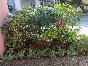 IMG 0ebaa3f18884b34aaa654e3c45d3d80b V