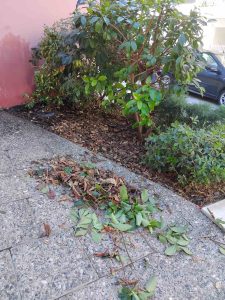 IMG b29f55d398ff68741e33e39f25f1b5e8 V