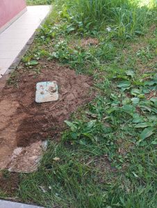 IMG ba1ab1c69c2bccb15f9b645c05152489 V