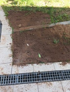 IMG d97d42c3ef9f27f374c9c53b73ad4cd3 V