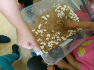 IMG 8ec456b32c98745cd71809ff8b58bfbd V