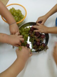 IMG 126277ce8f82ab4c5b7afe952afac1ff V