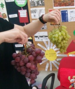 IMG 53b2fd41cbae72e42d30c6324695f94d V