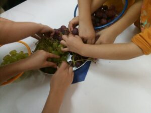 IMG 5aed96b8026a37fdb8e32b331a8a1139 V