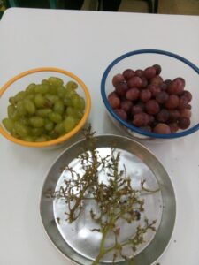 IMG ec556cf592b4f73eee70f6340ac313ce V