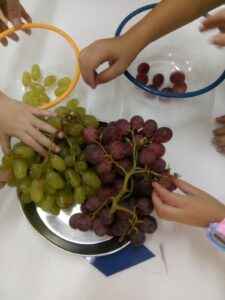 IMG fe244b610ea05e9c82cd8263eddc340c V