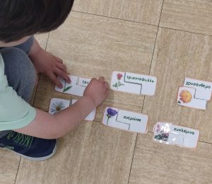 IMG 57634b21caf7a9af09f7616b1a4b1d44 V