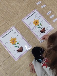 IMG 92d9911ca1e5bd1015785d68388af202 V