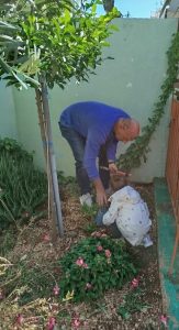 IMG 4e853a13d6659b07c2b5cc633f67d0e4 V 1