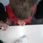 IMG 7247