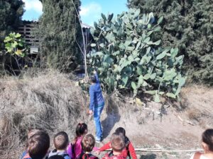 2f68f83e 356e 497e bc9c a5207191d2a2