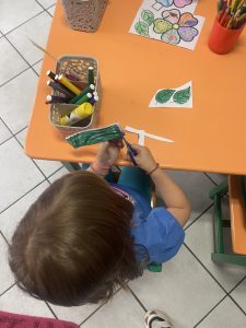 IMG 0004