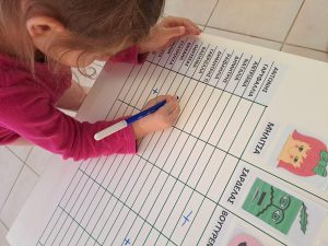 fd3eb8ae bccd 4218 9b8c 37fa7d9c9b98