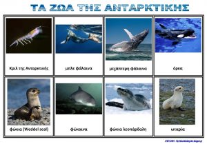 ΤΗΣ ΑΝΤΑΡΚΤΙΚΗΣ Σελίδα 2