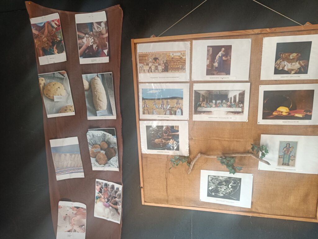IMG20241101100529