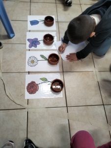 IMG20250326114031 01