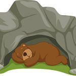 sleeping bear clipart 3