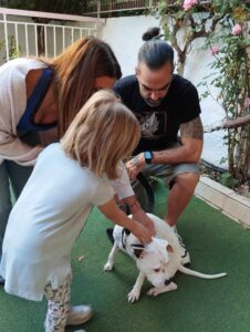 2a187563 5238 477f b138 fa9f274ff42c