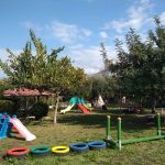 IMG 2ff3ee34d11c50fddadcfd5d2b446432 V