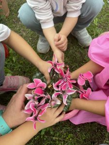 IMG 2f3da9bb68033e07aba1cd0abb69255c V