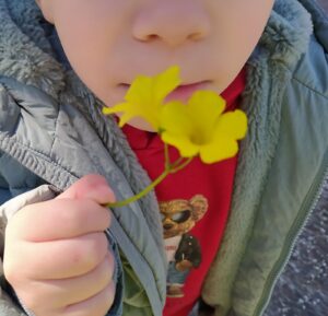 IMG 40a6c144d15c92b2ff632cda93c90659 V